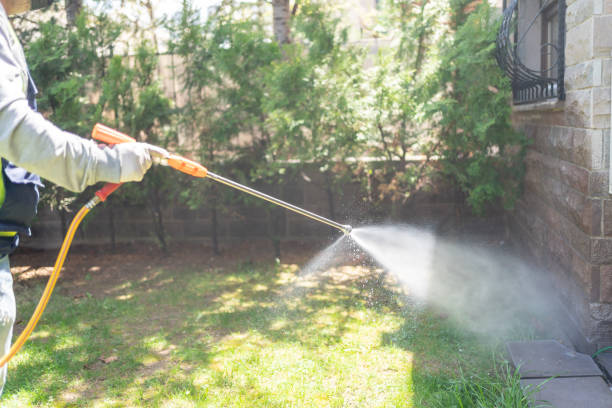 Flea Control Services in Cricket, NC